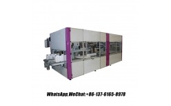 30L全自動(dòng)化塑料小桶液體灌裝機(jī)